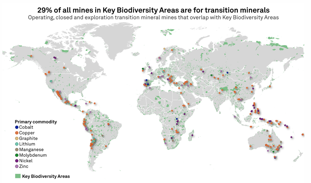 Biodiversity areas